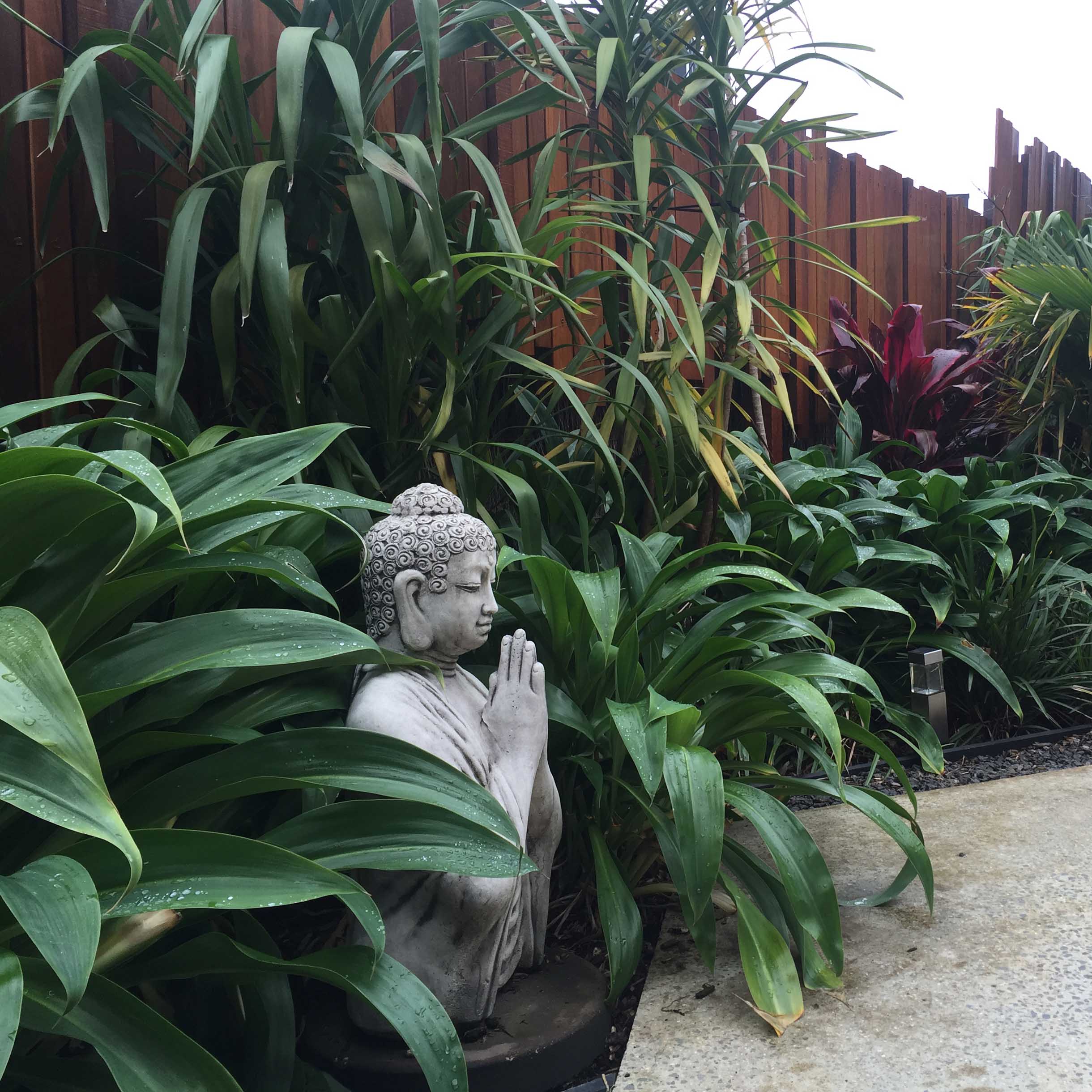 Foliage-filled Entry Courtyard, Thirteenth Beach